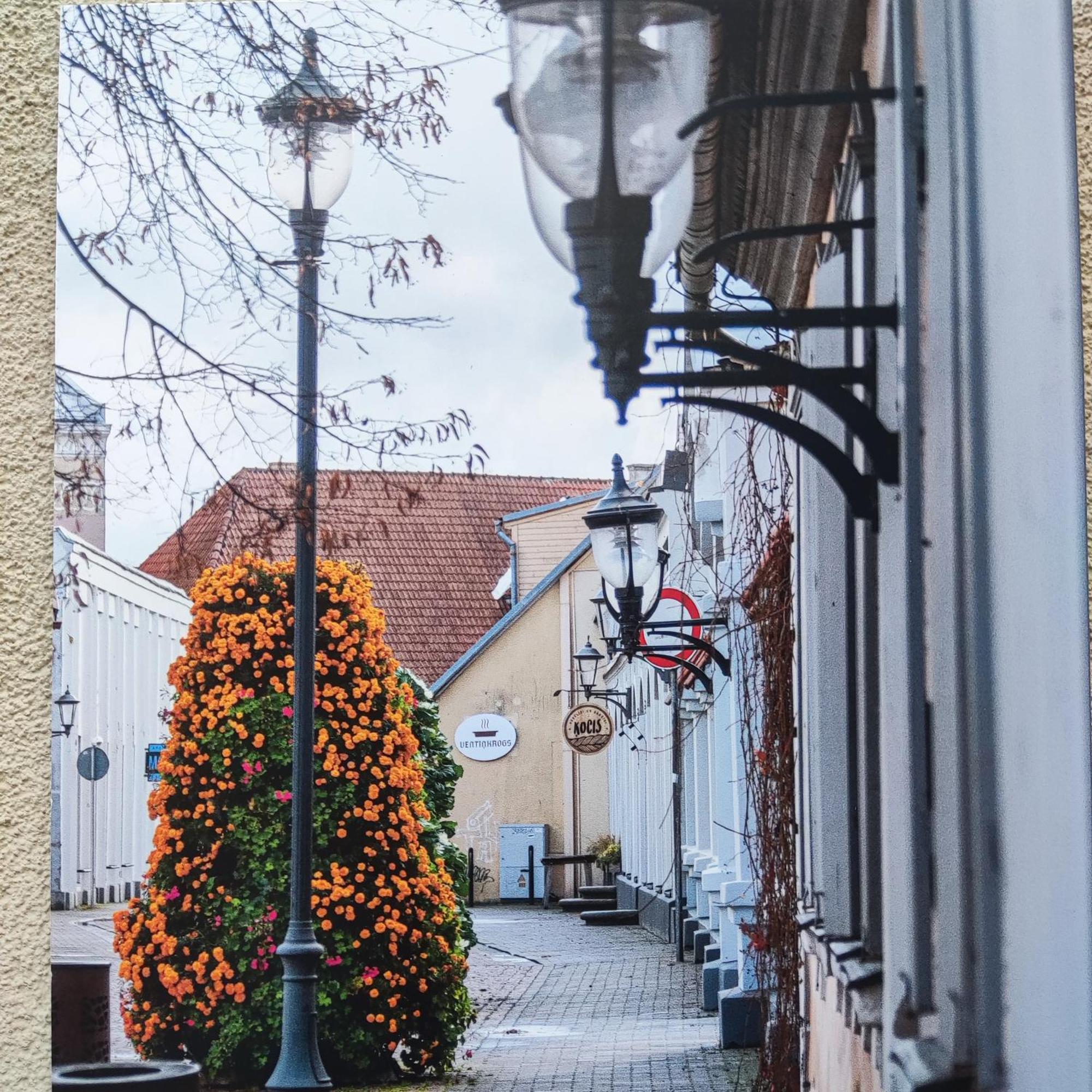 Ventspils Apartamenti Pie Ratslaukuma Экстерьер фото